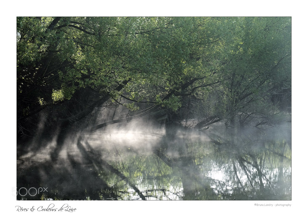 Fujifilm X-T10 sample photo. Quand la brume enveloppe photography