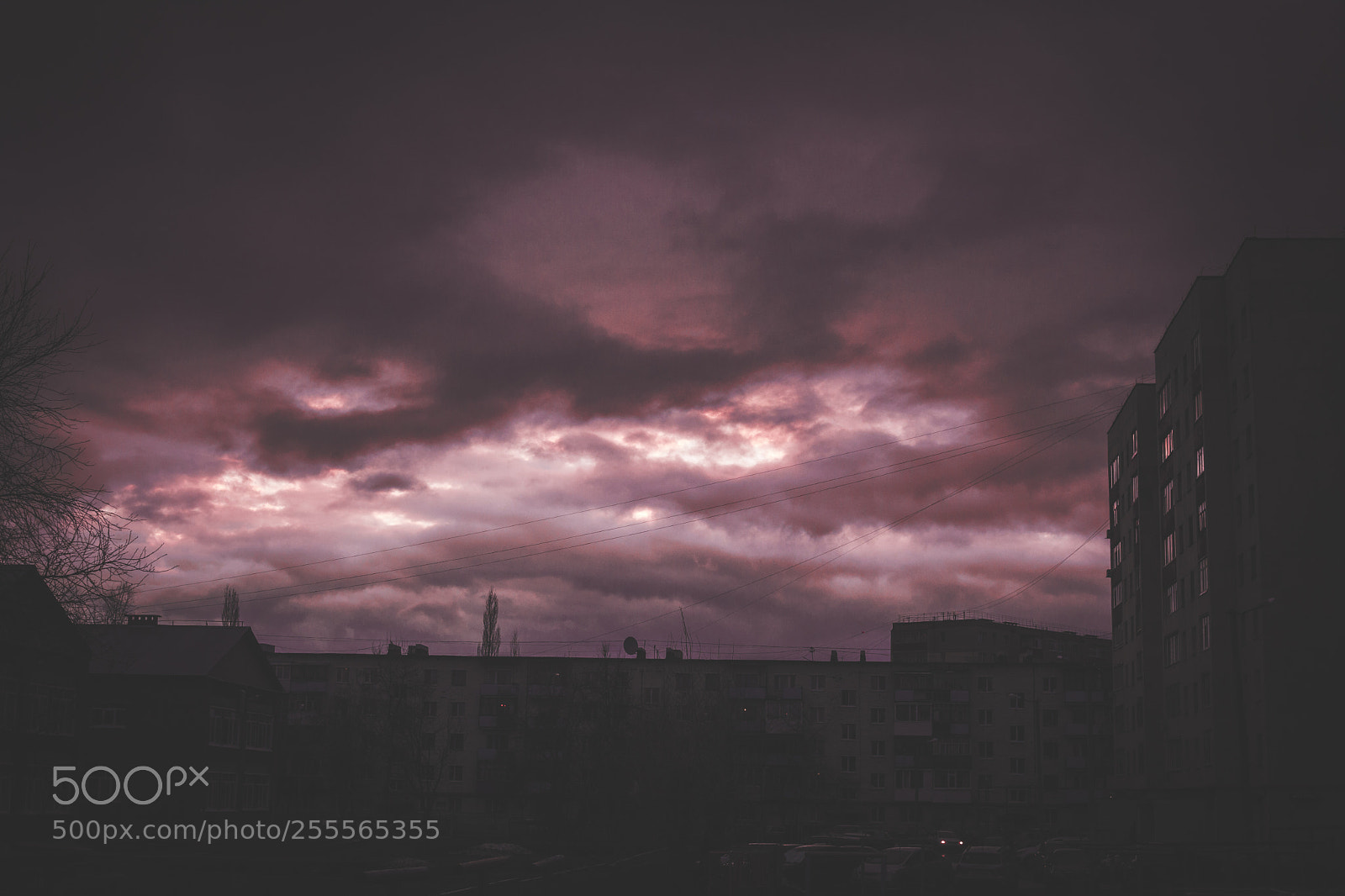 Canon EOS 5D Mark II sample photo. Untitled photography