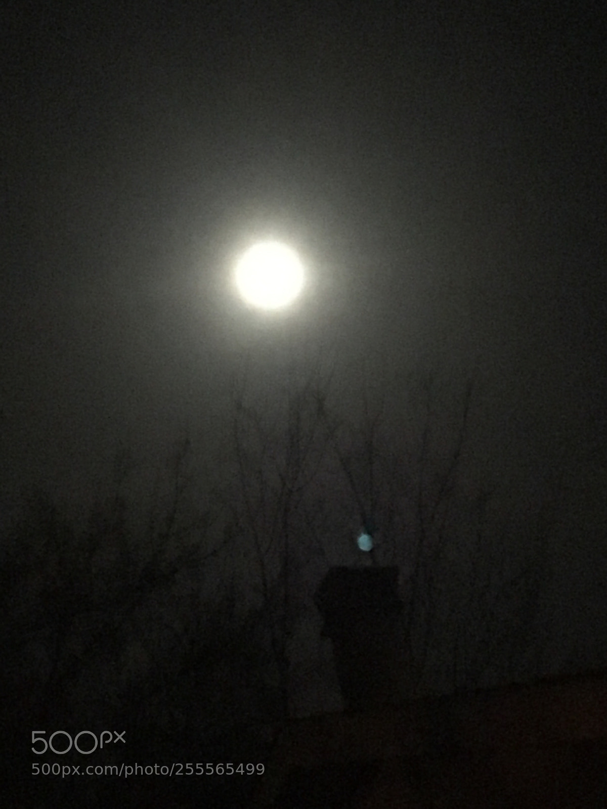 Apple iPhone 6s sample photo. Untitled photography