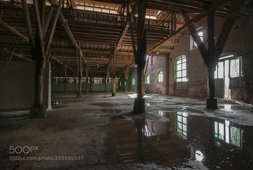 Nikon D300S sample photo. Rivoluzione industriale photography