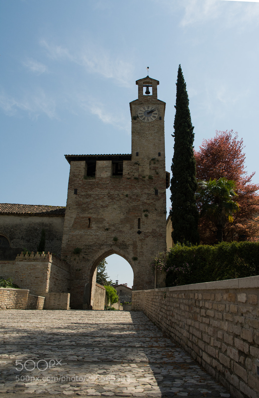 Nikon D7100 sample photo. Medieval photography