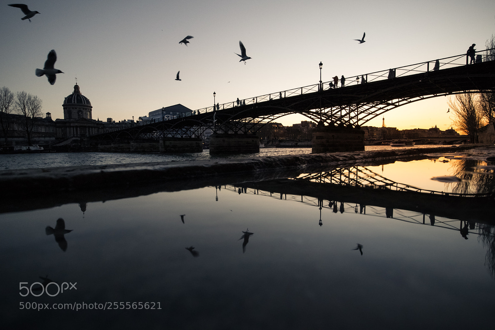 Canon EOS M5 sample photo. Paris, art bridge at photography