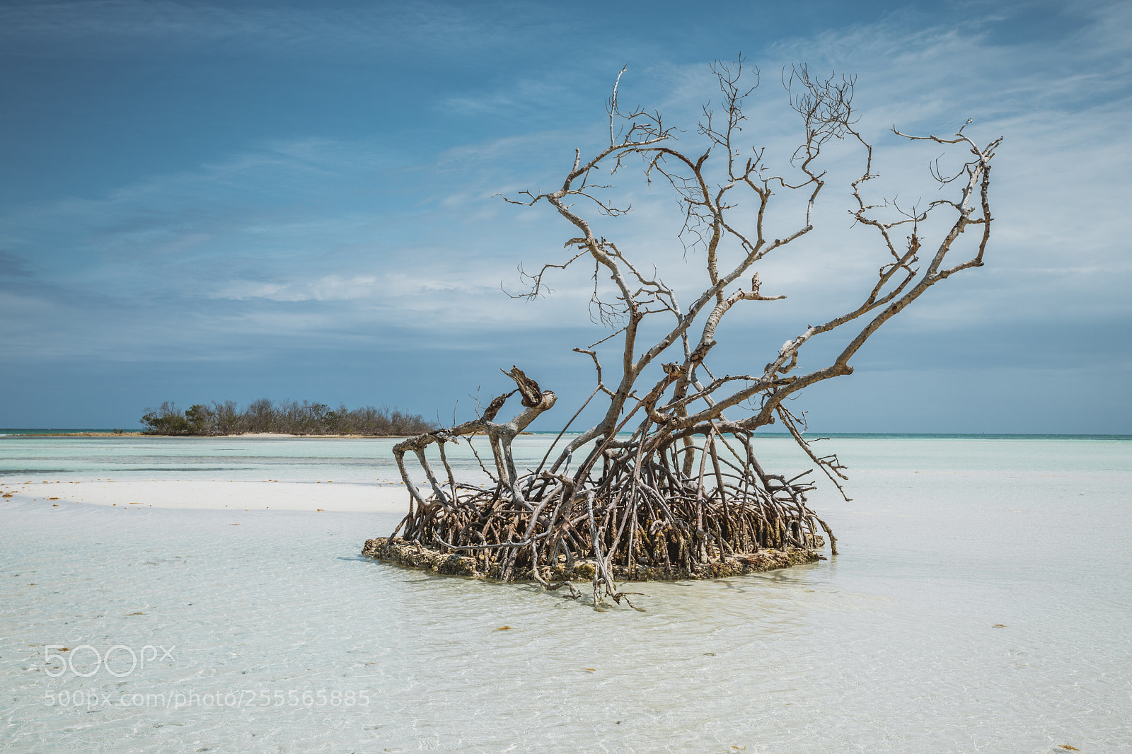 Canon EOS 5D Mark IV sample photo. Cayo coco - cuba photography