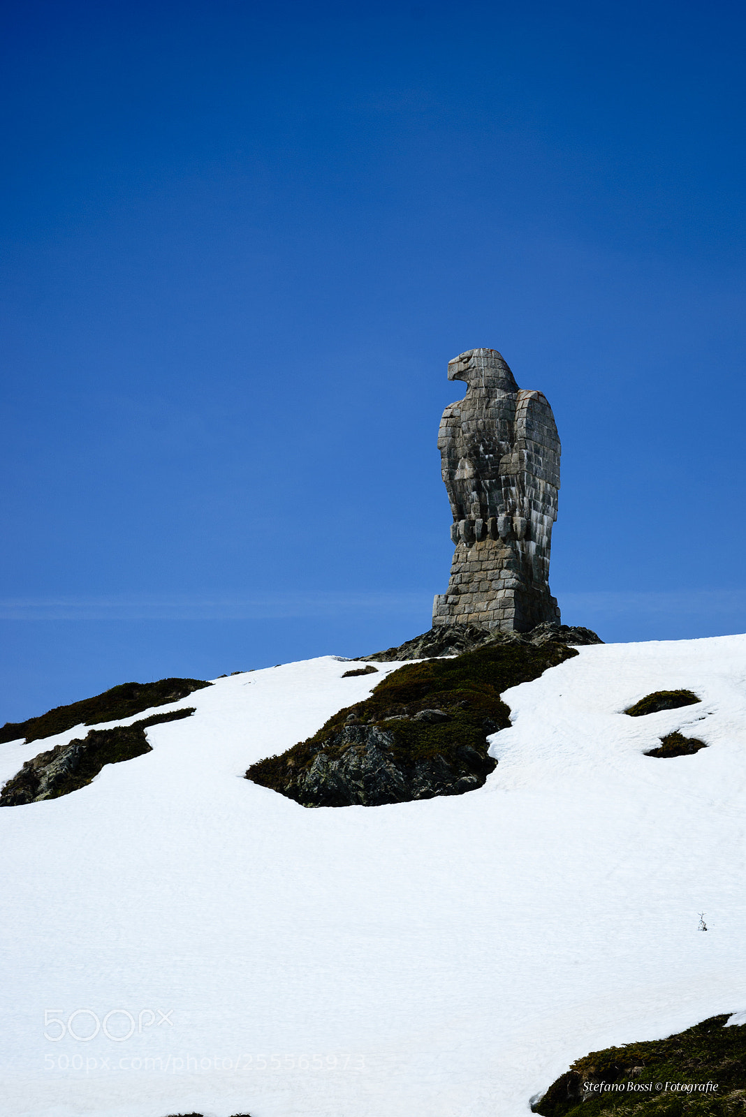 Nikon D610 sample photo. Eagle photography