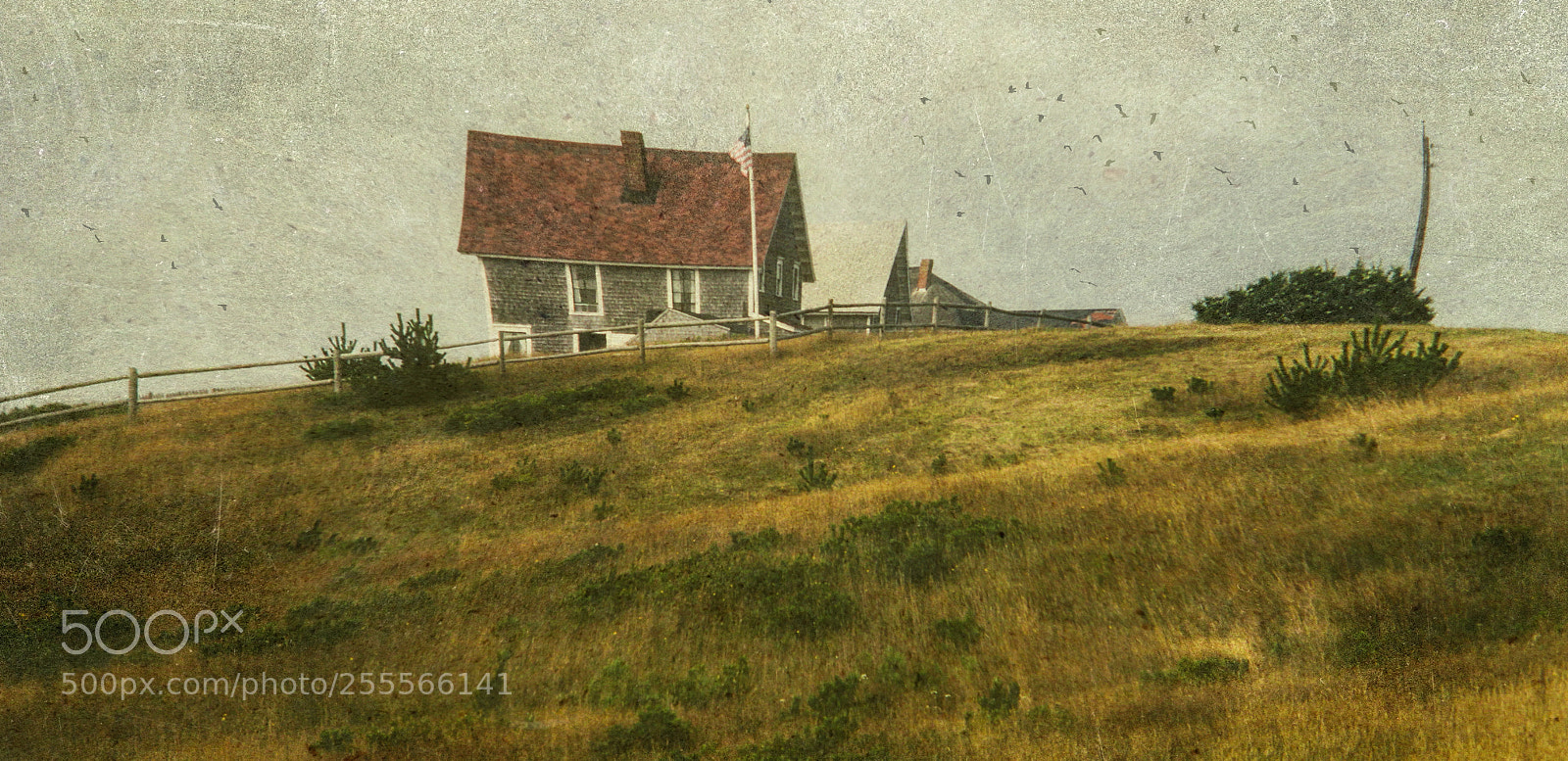 Canon EOS 60D sample photo. Block island home photography