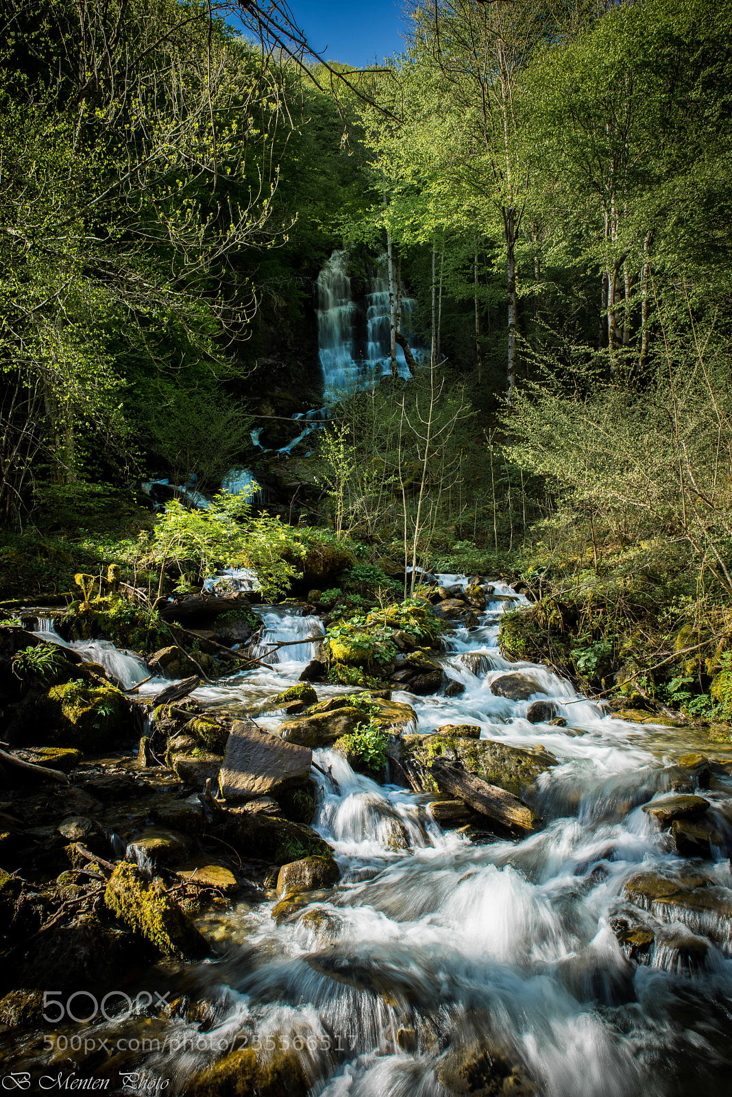 Sony a7R sample photo. Water, life in the photography
