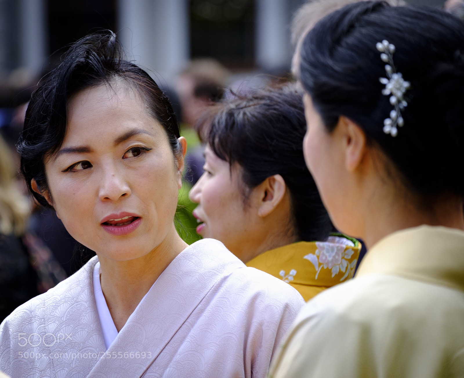 Fujifilm X-T2 sample photo. Japan festival photography