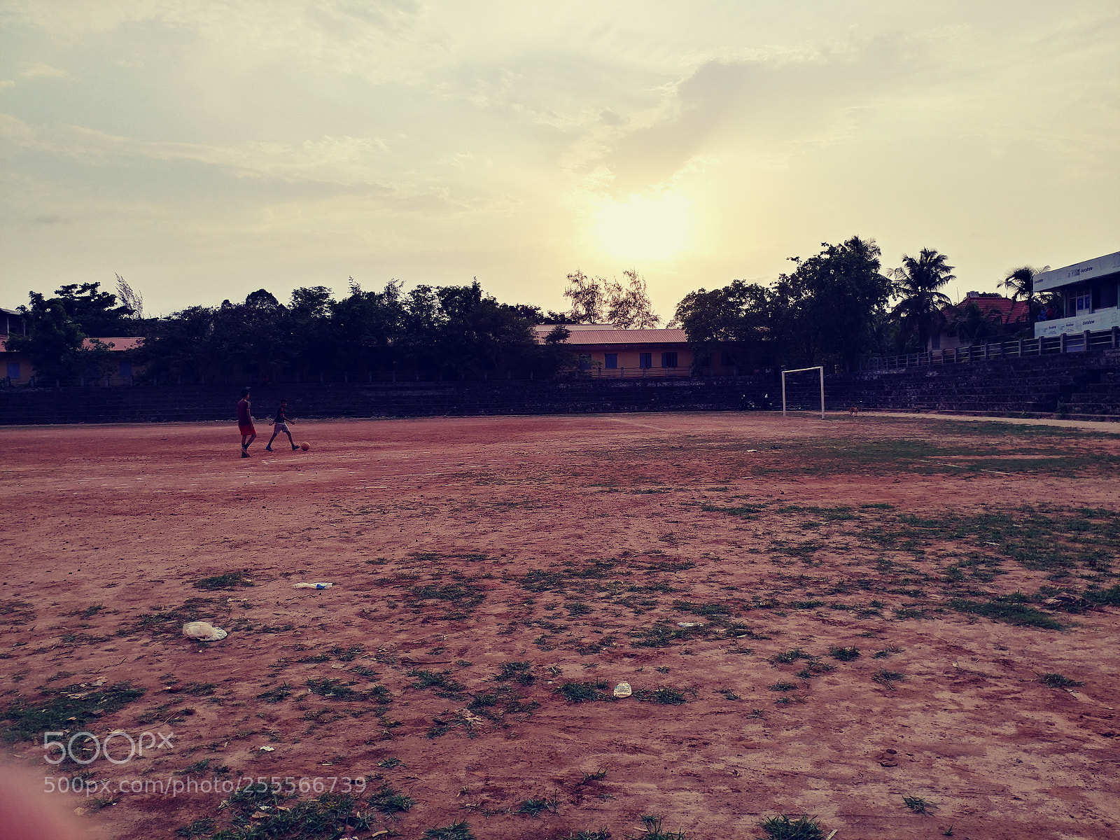LG V20 sample photo. Untitled photography