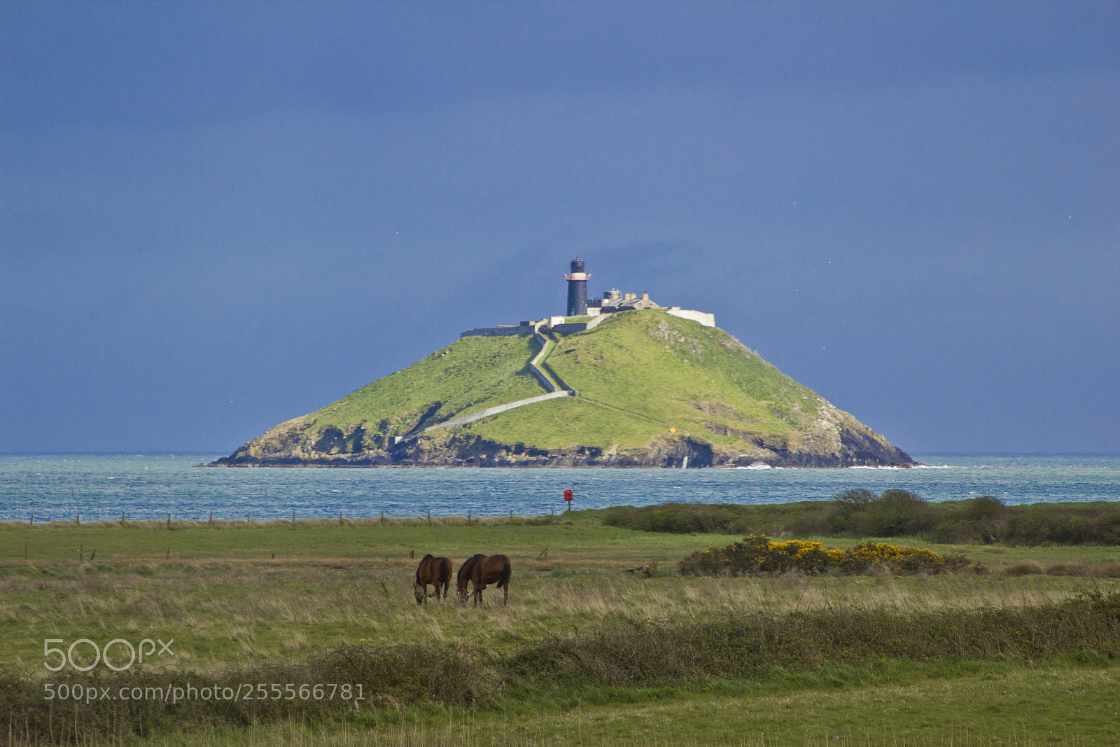 Canon EOS 550D (EOS Rebel T2i / EOS Kiss X4) sample photo. Ballycotton lighthouse from shanagarry photography