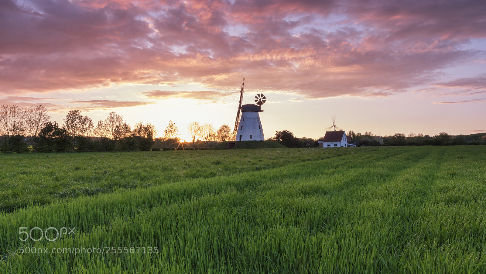 Pentax K-3 II sample photo. The windmill photography