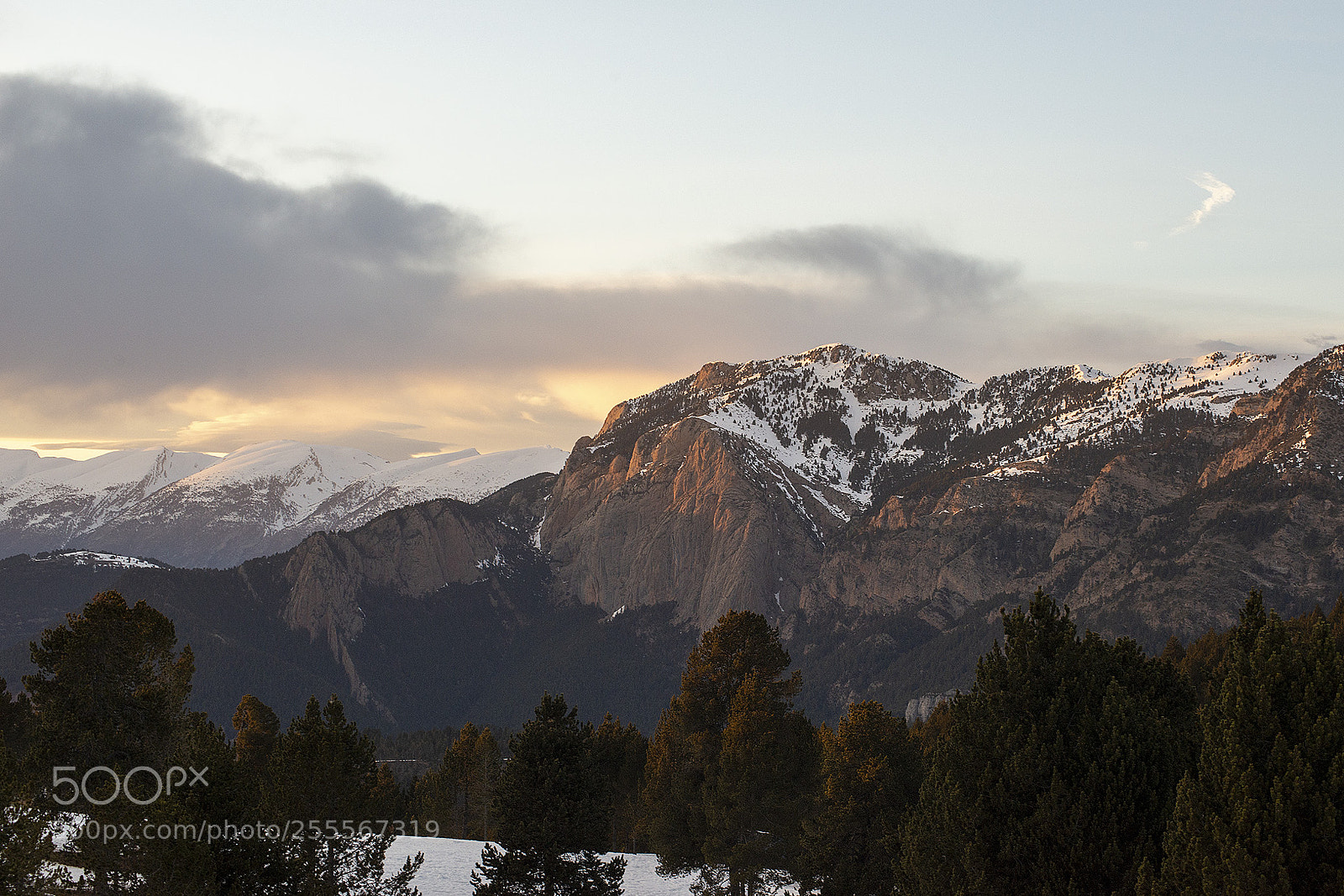 Nikon D610 sample photo. Recuerdo del invierno, winter photography