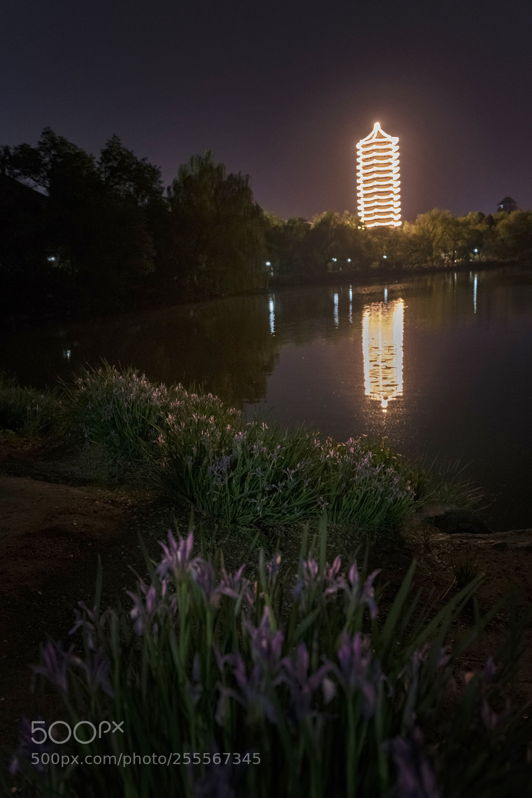Sony a7R II sample photo. Weiming lake at night photography