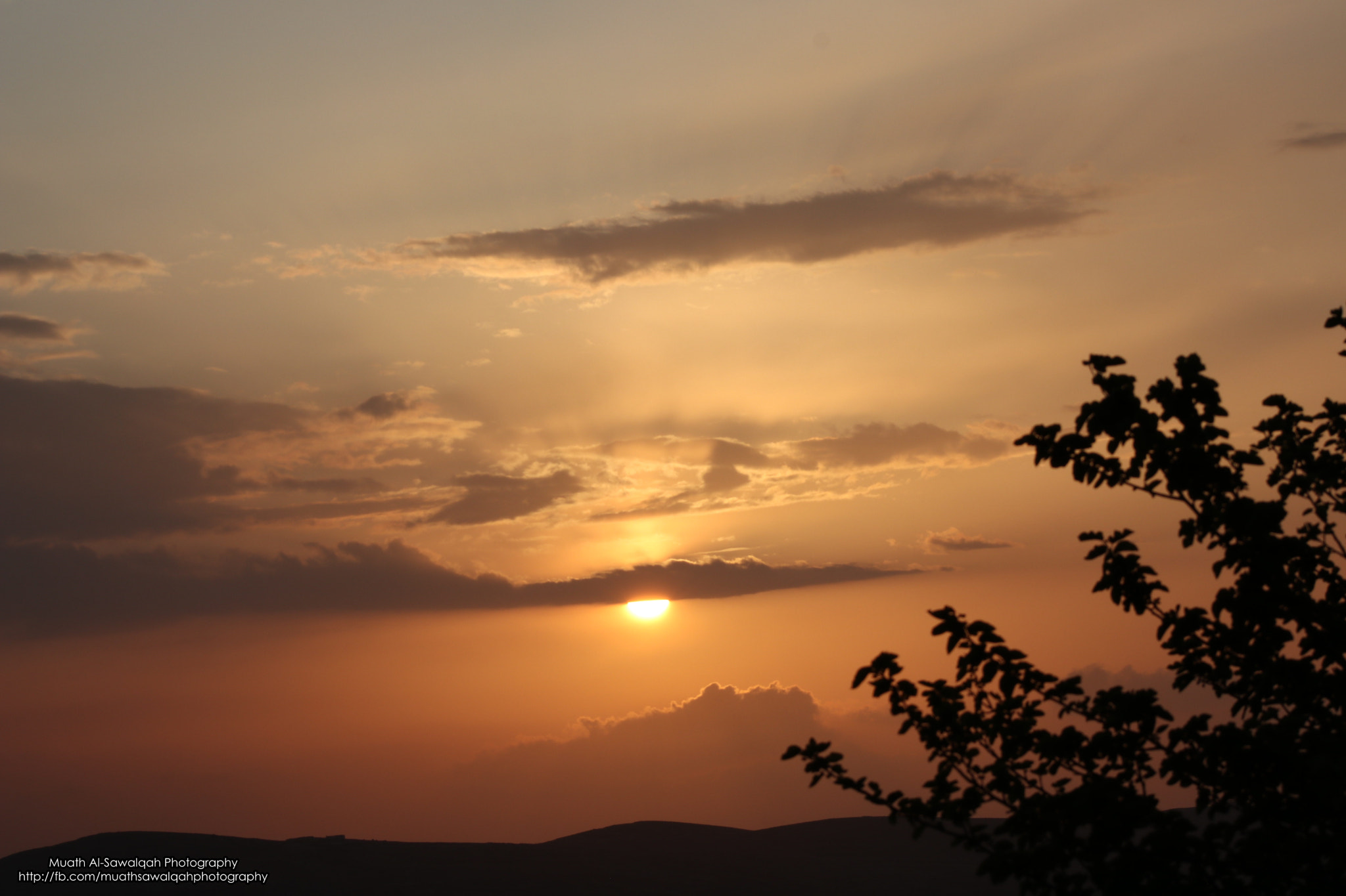 Canon EF 75-300mm f/4-5.6 sample photo