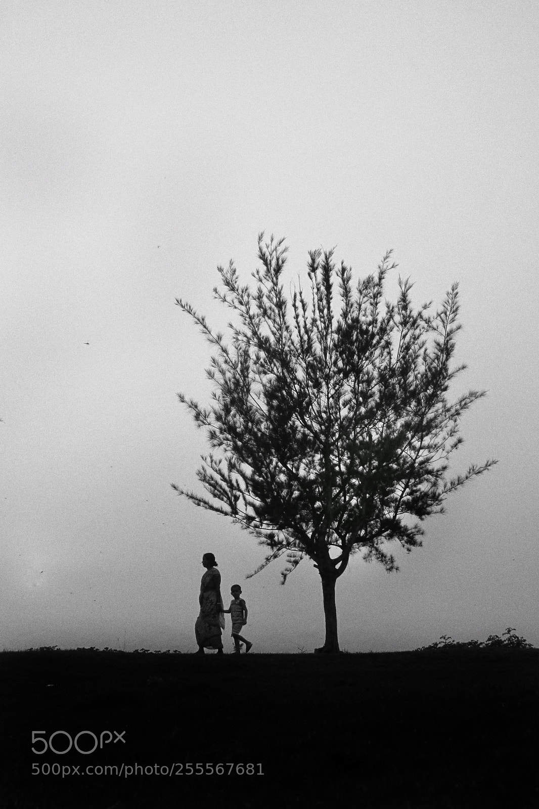 Canon PowerShot SX170 IS sample photo. Evening walk with mother photography
