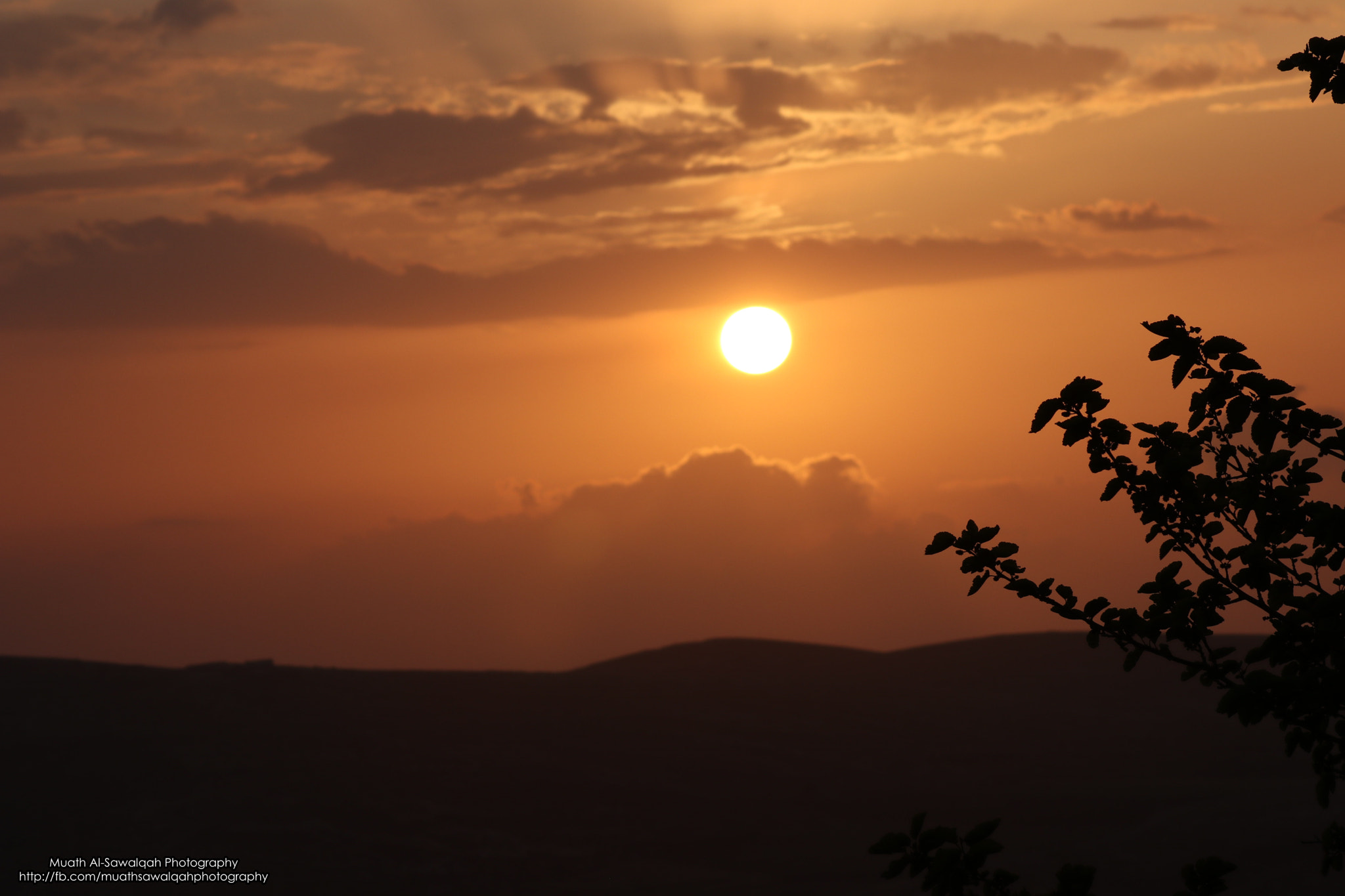 Canon EF 75-300mm f/4-5.6 sample photo