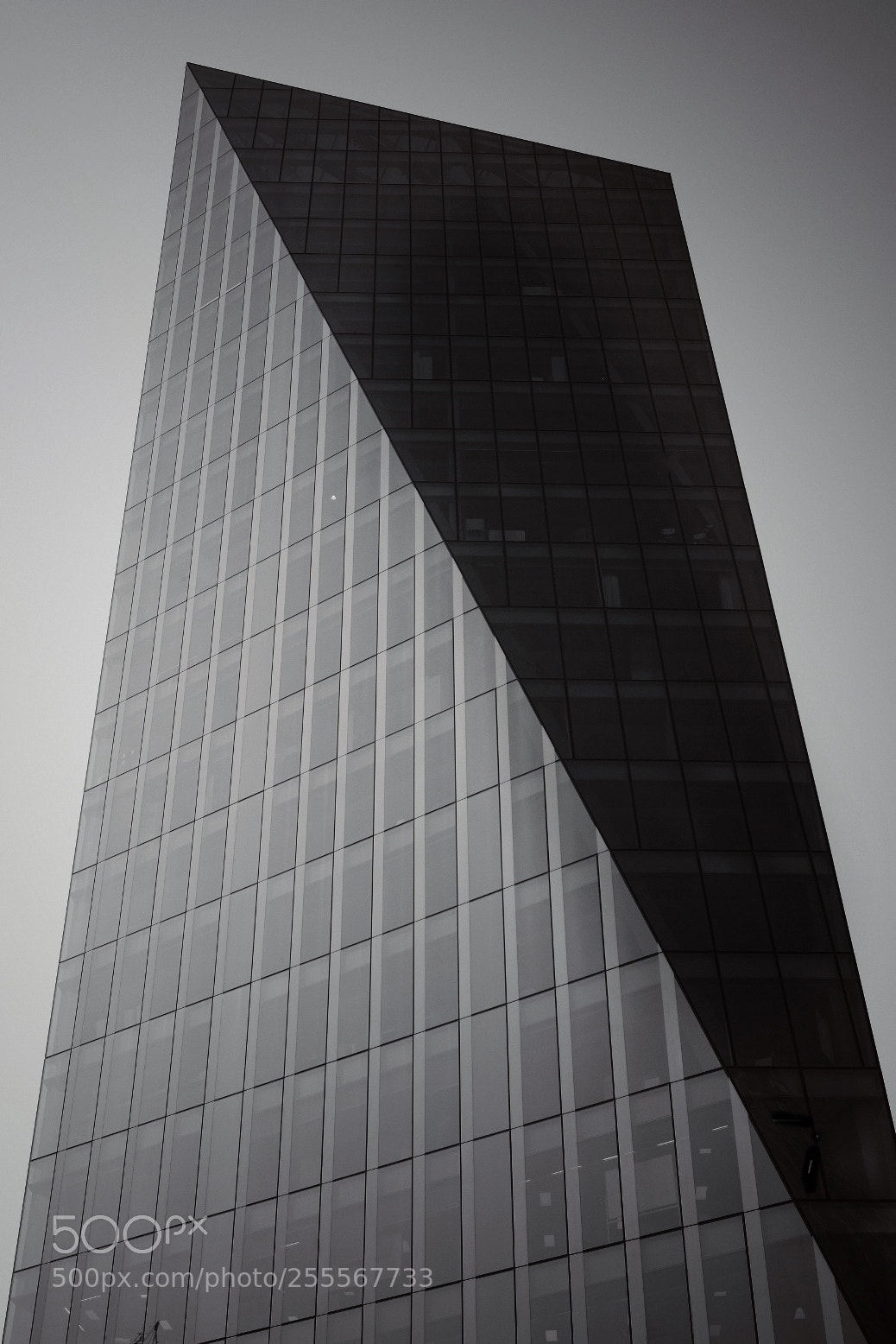 Fujifilm X-T20 sample photo. Untitled photography