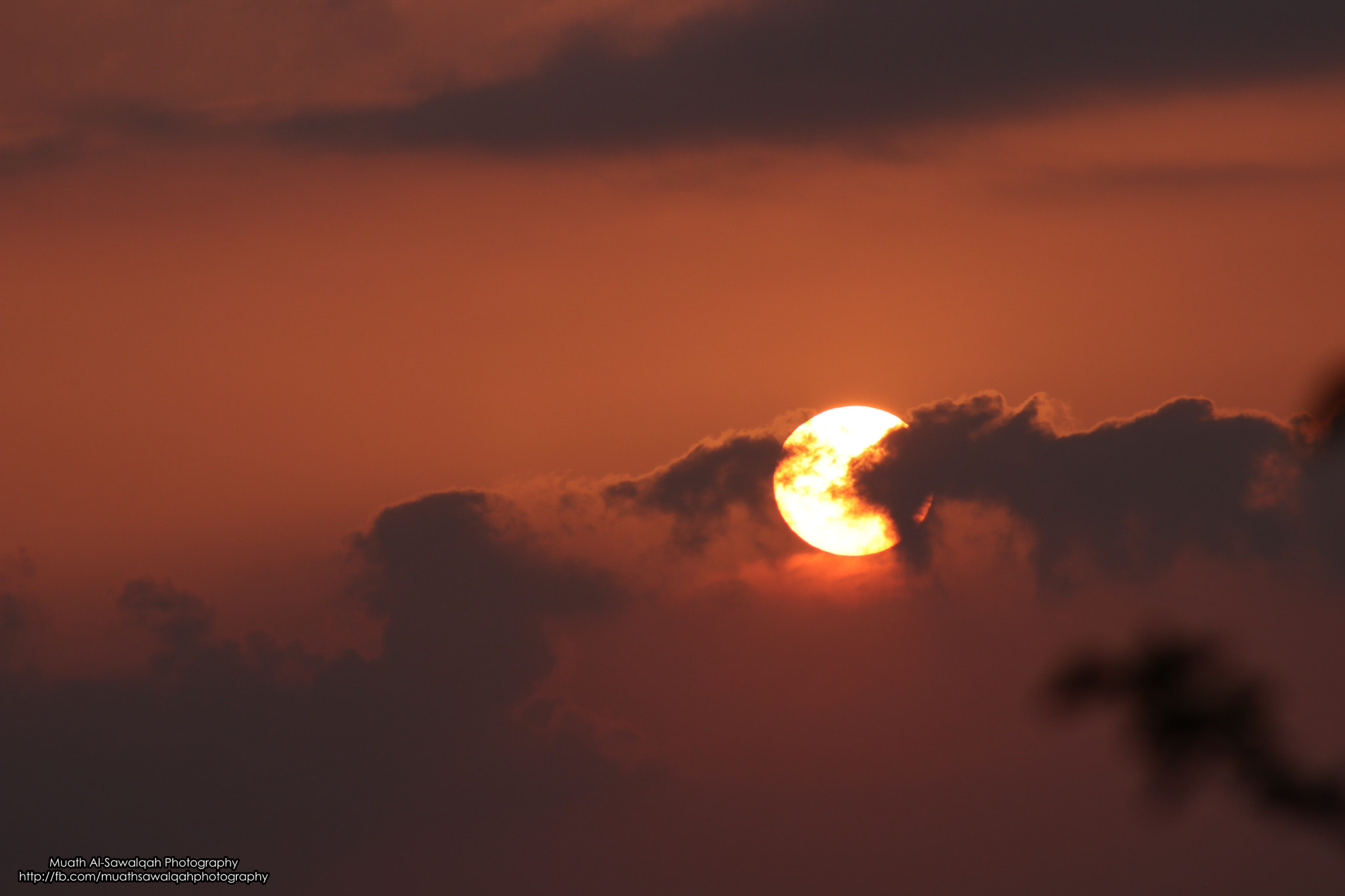 Canon EF 75-300mm f/4-5.6 sample photo