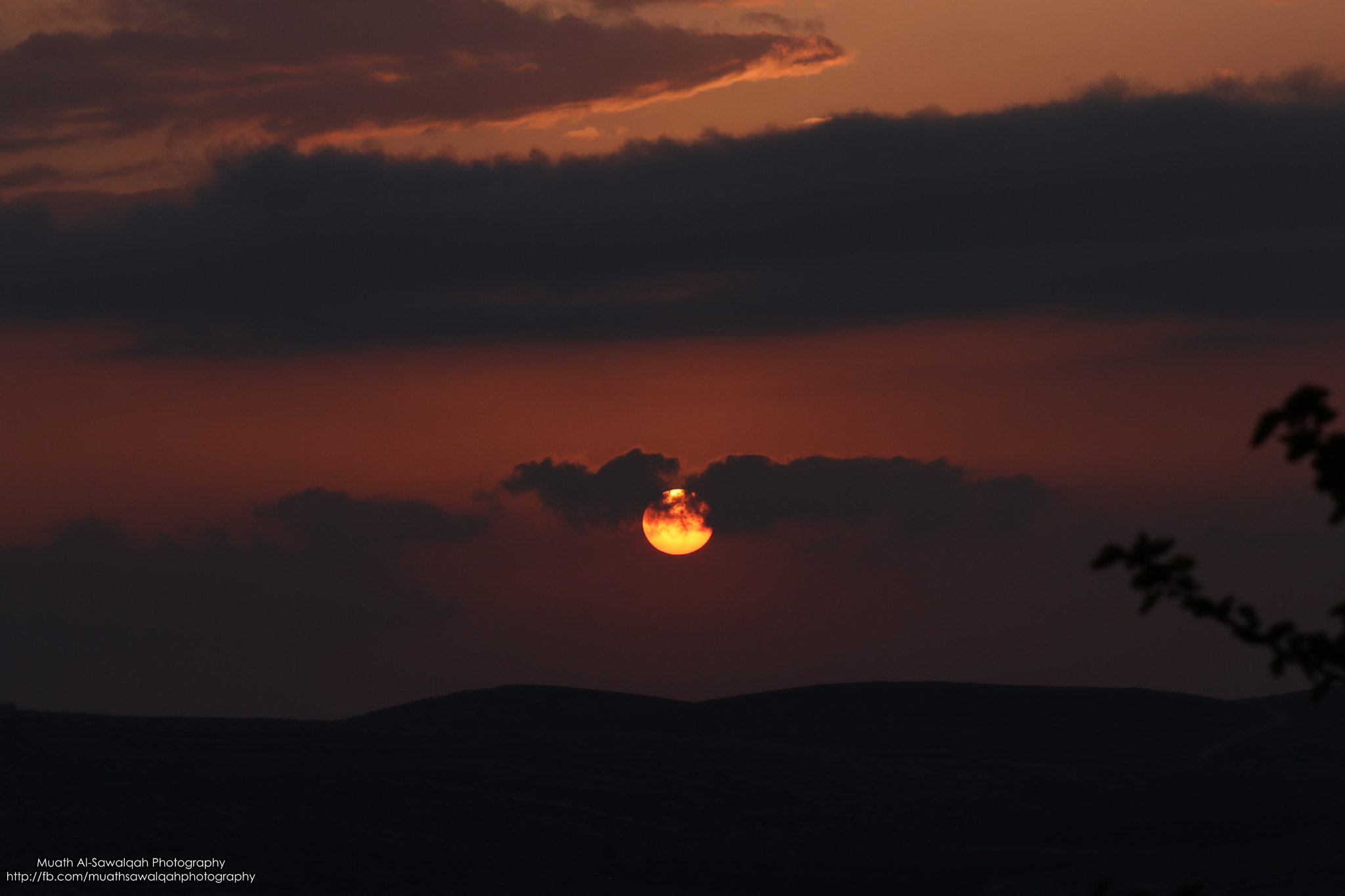 Canon EF 75-300mm f/4-5.6 sample photo