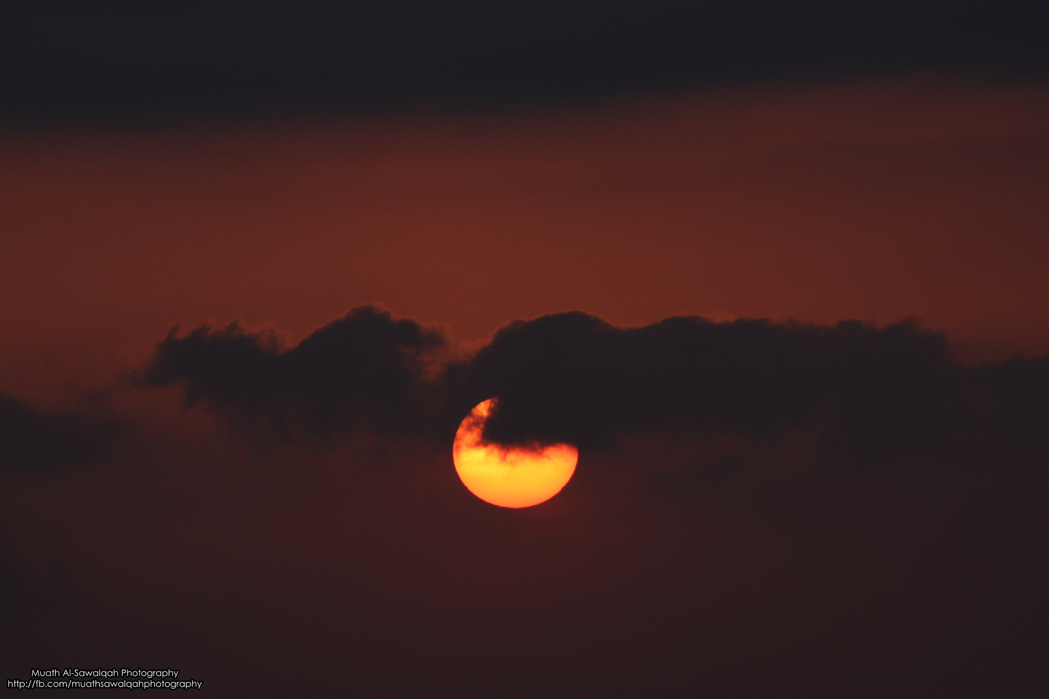 Canon EF 75-300mm f/4-5.6 sample photo