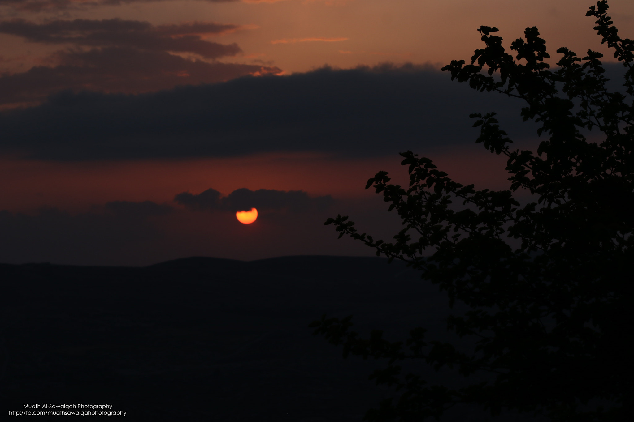 Canon EF 75-300mm f/4-5.6 sample photo
