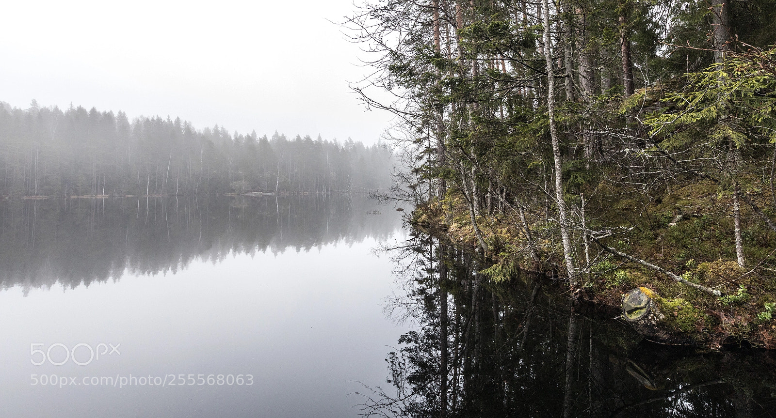 Canon EOS 5D Mark IV sample photo. Lake reflections xi photography