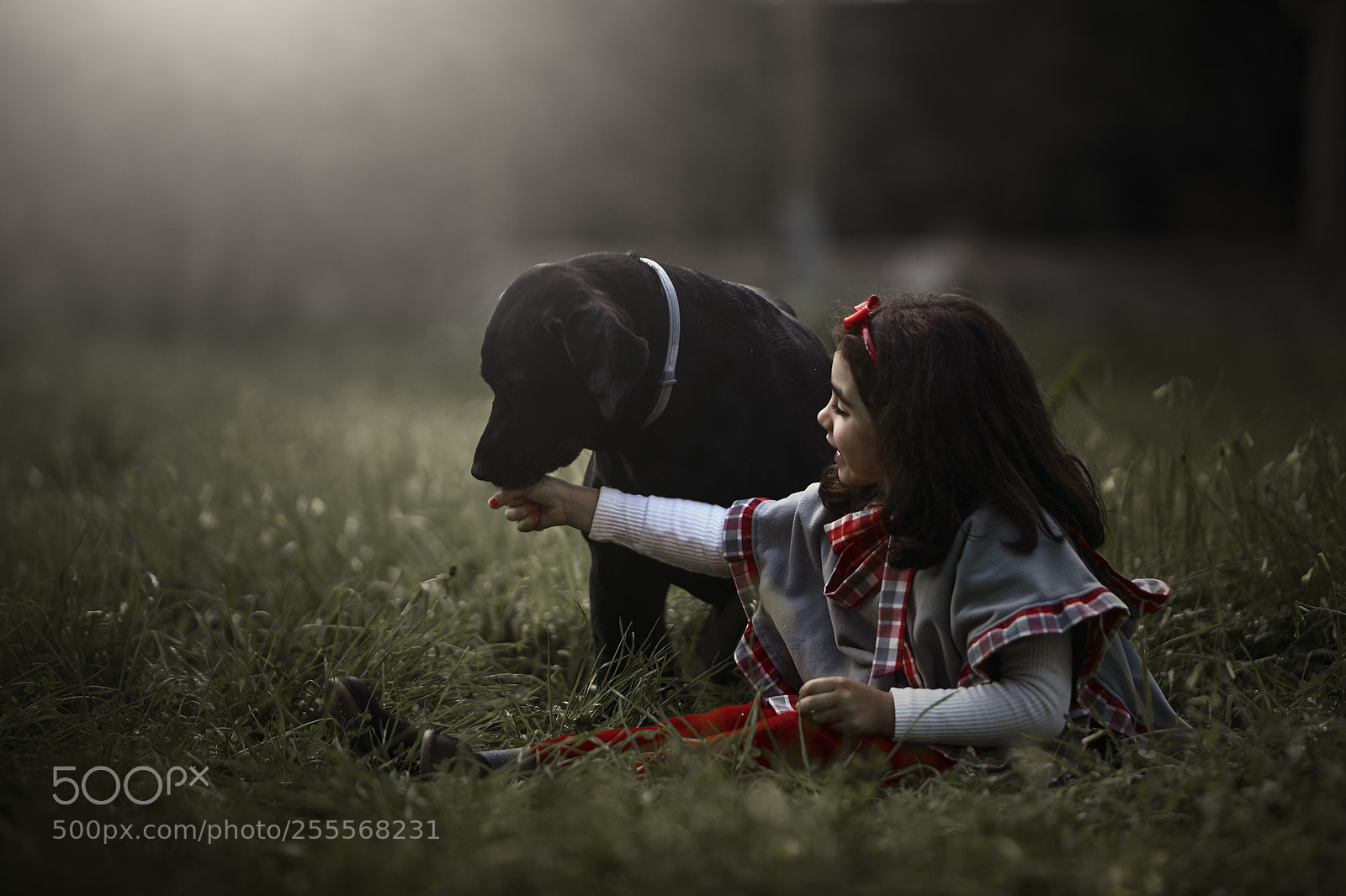 Canon EOS 5D Mark II sample photo. Barbara&zara photography