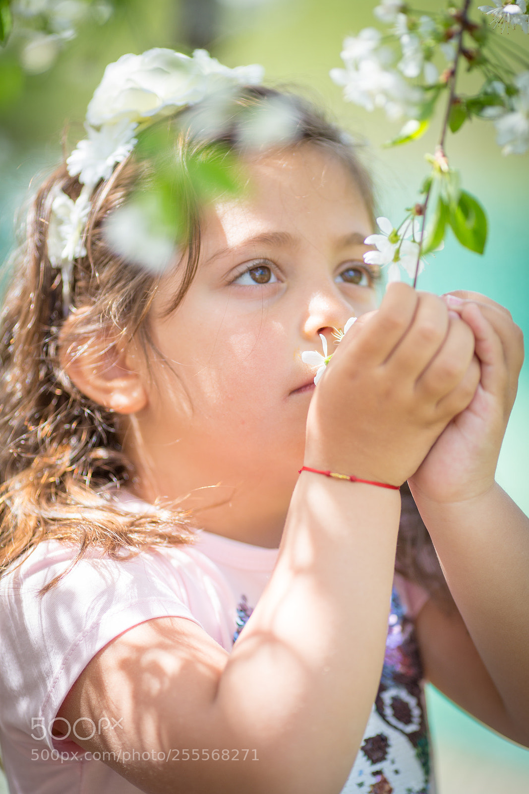 Canon EOS 6D sample photo. Spring sisi photography