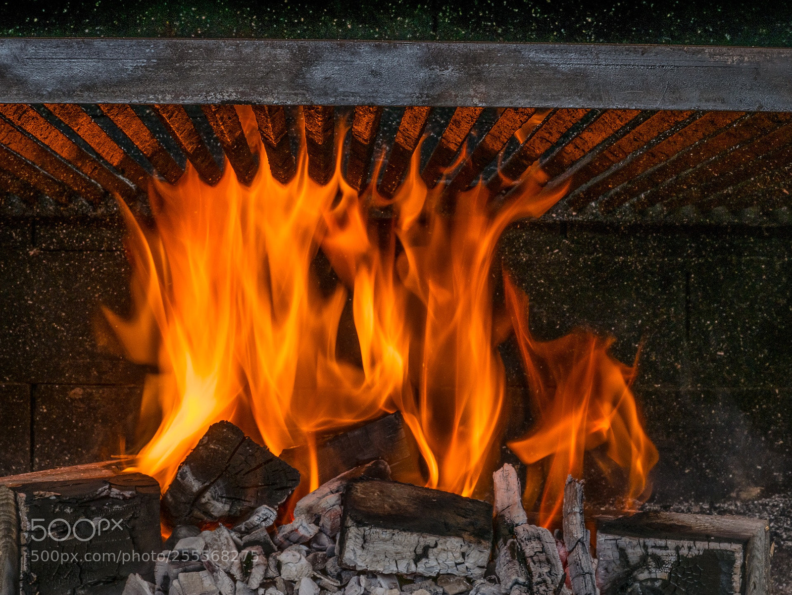 Panasonic Lumix DMC-G85 (Lumix DMC-G80) sample photo. Fuego photography