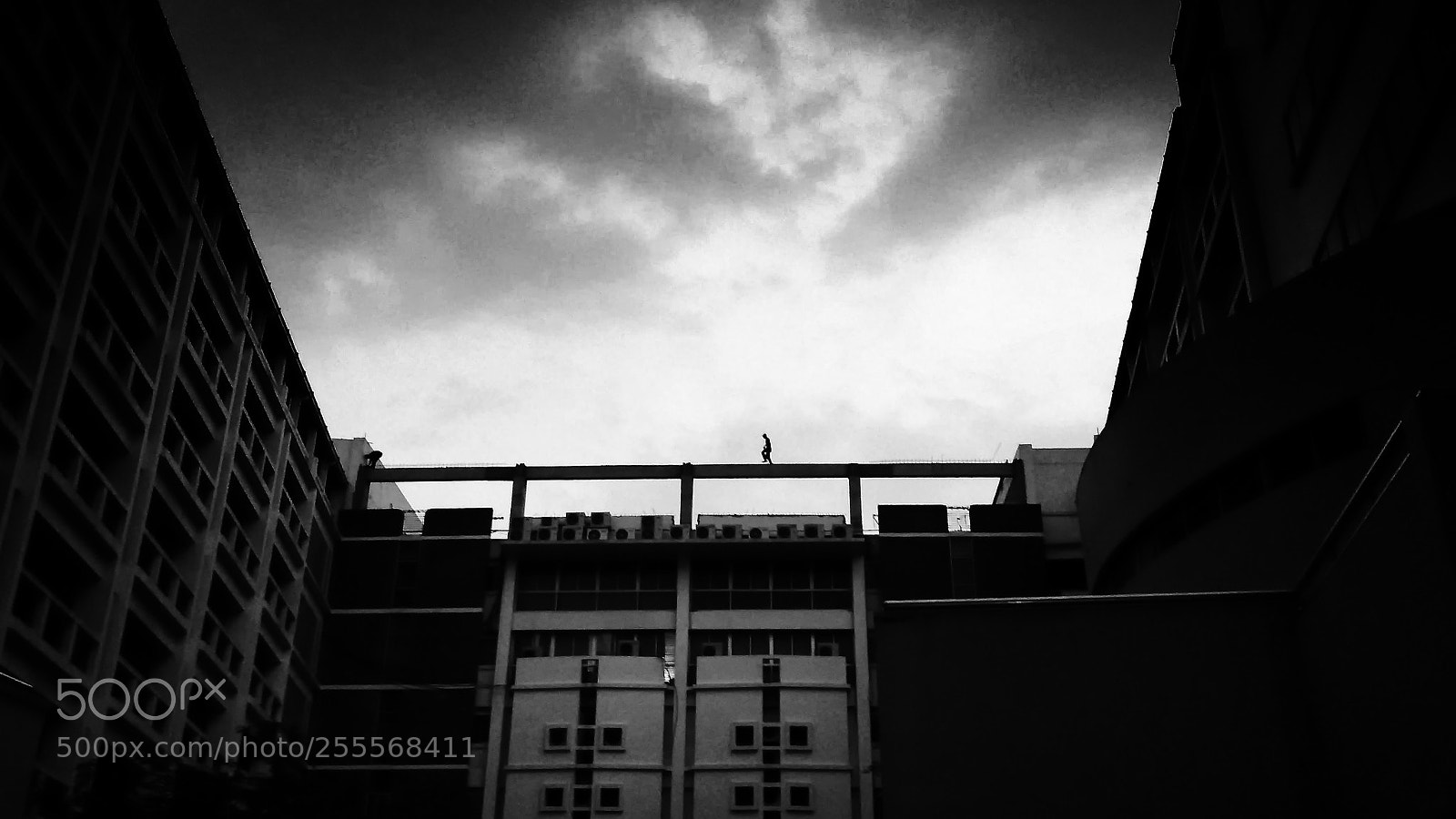 Xiaomi Redmi 4X sample photo. ... photography