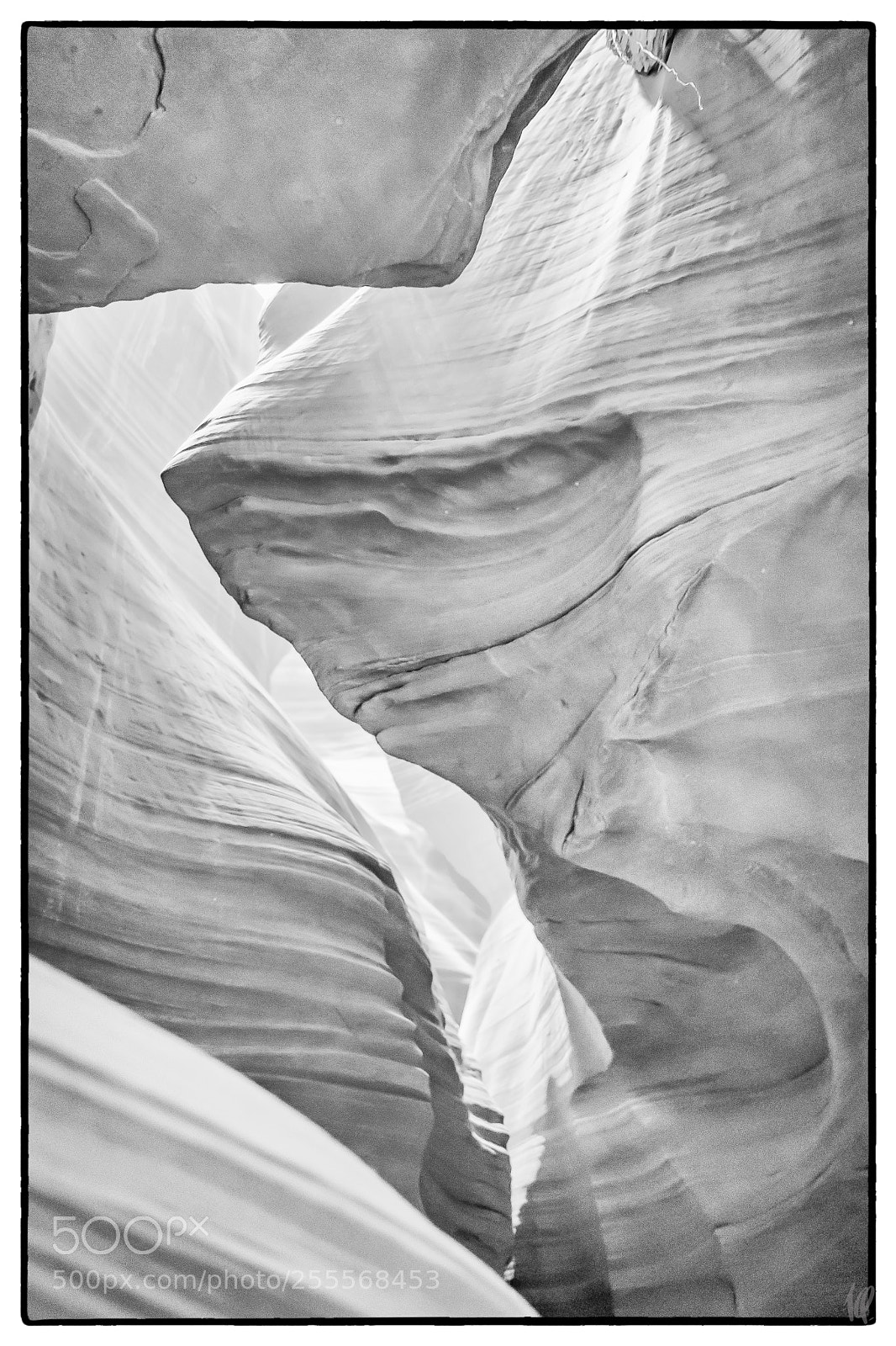 Nikon D5 sample photo. Bear of antelope canyon photography