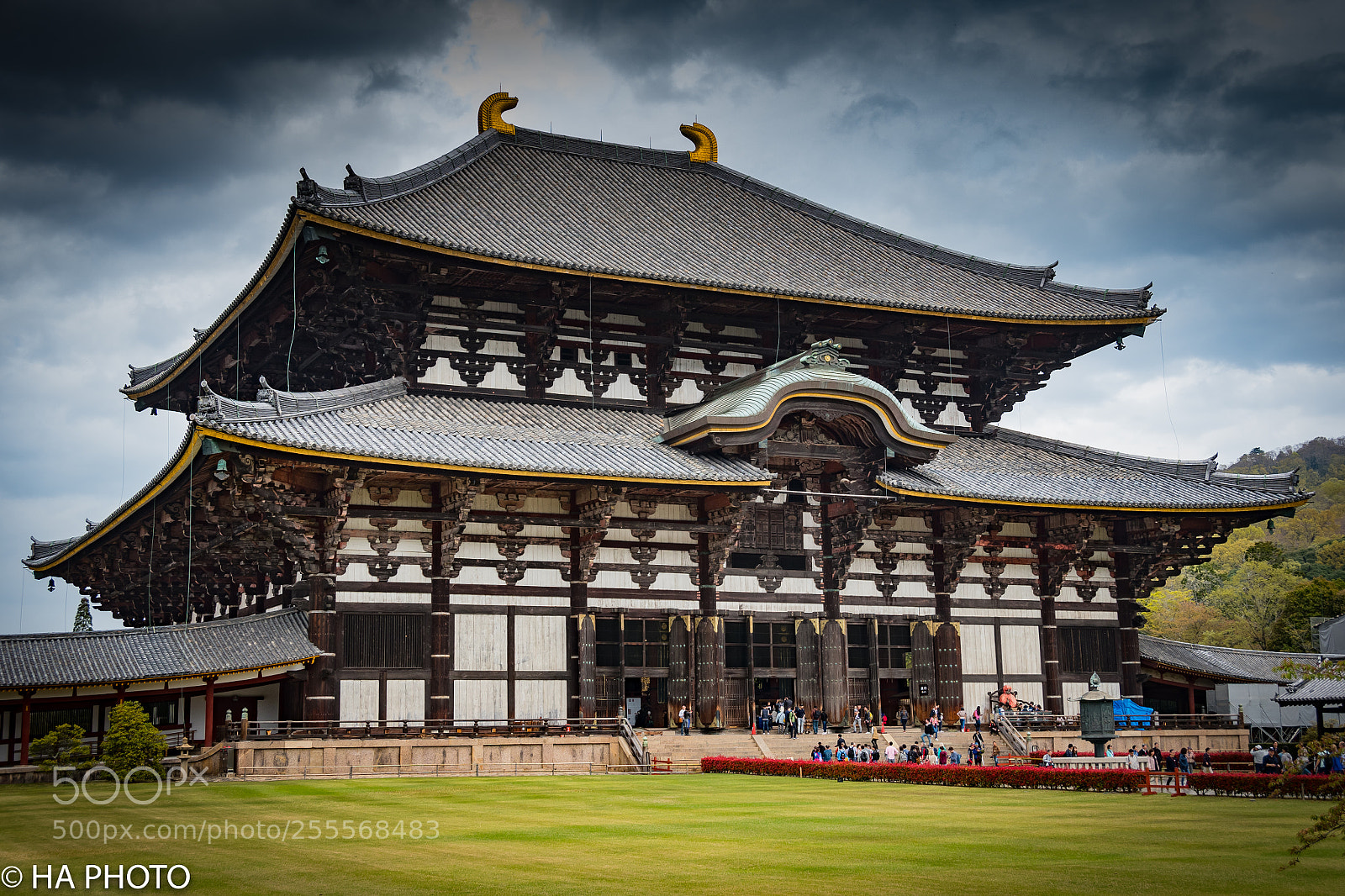 Nikon D7500 sample photo. Tōdai-ji photography