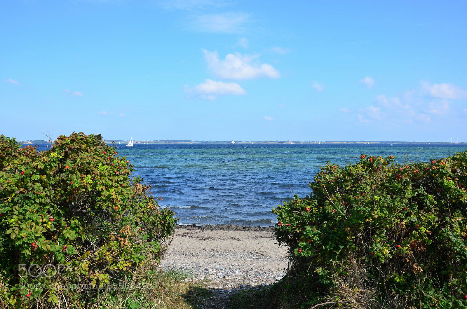 Nikon D5100 sample photo. Flensburger förde photography