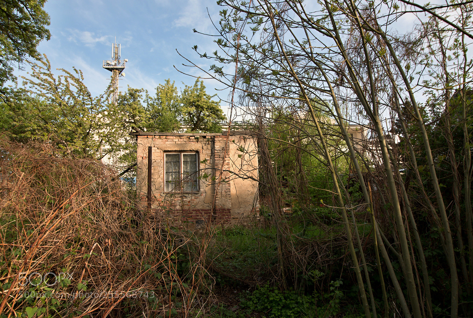 Canon EOS 70D sample photo. Slum na slatin ch photography