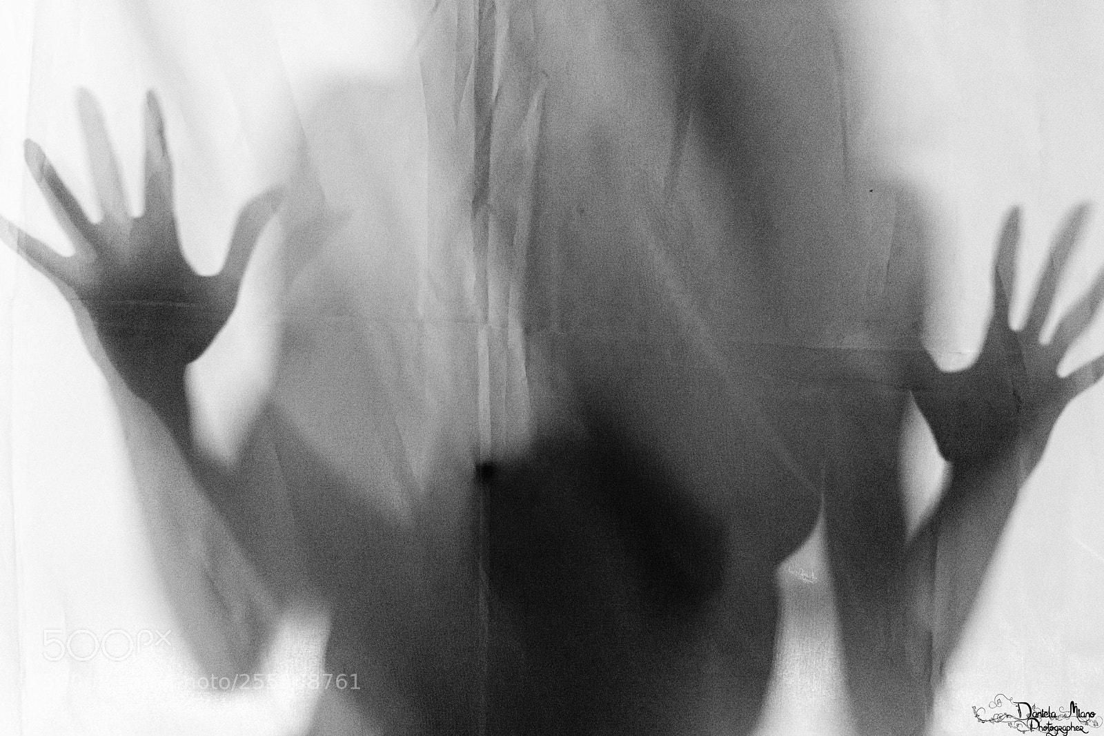 Nikon D5200 sample photo. Transparencies photography