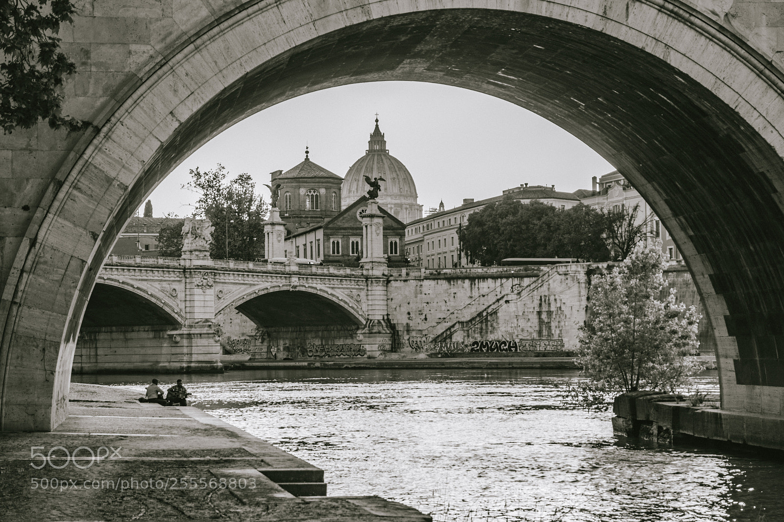 Nikon D5500 sample photo. Along the tiber, rome photography