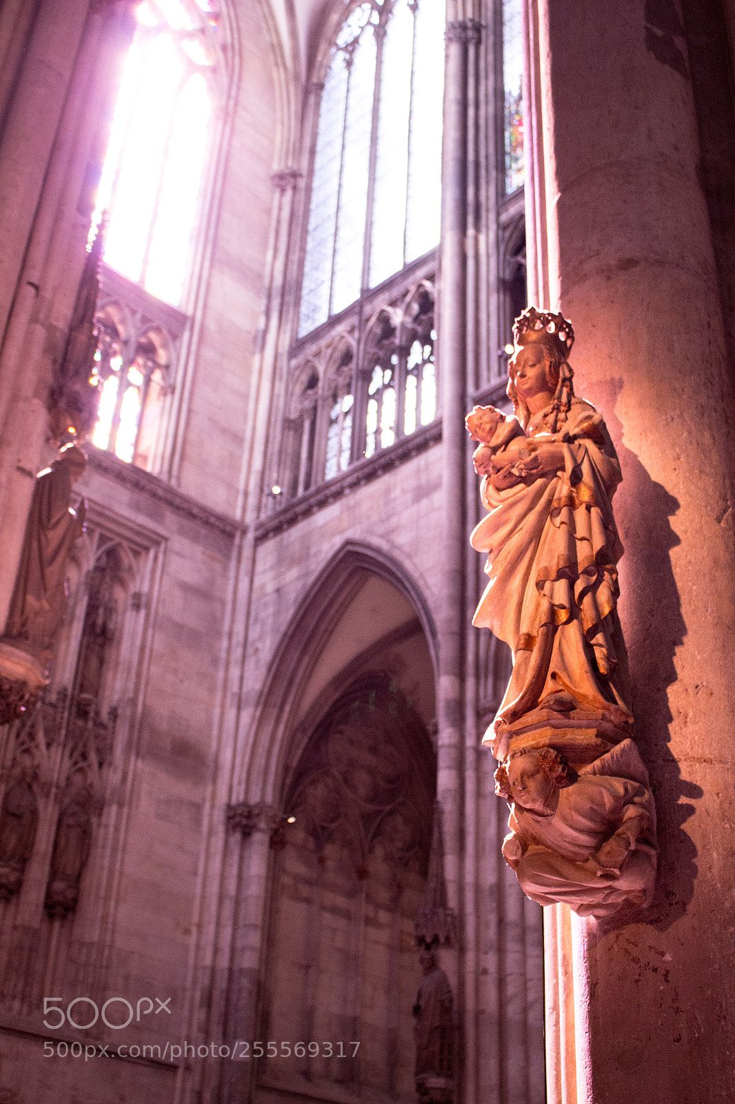 Canon EOS 700D (EOS Rebel T5i / EOS Kiss X7i) sample photo. Oh holy light photography