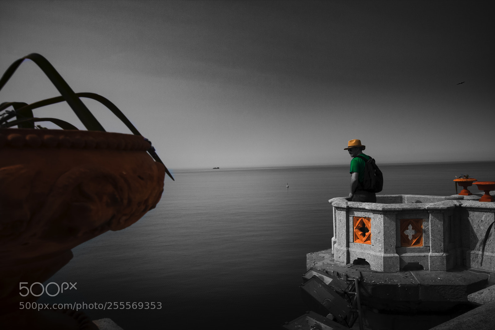 Canon EOS 40D sample photo. Colored black and white photography