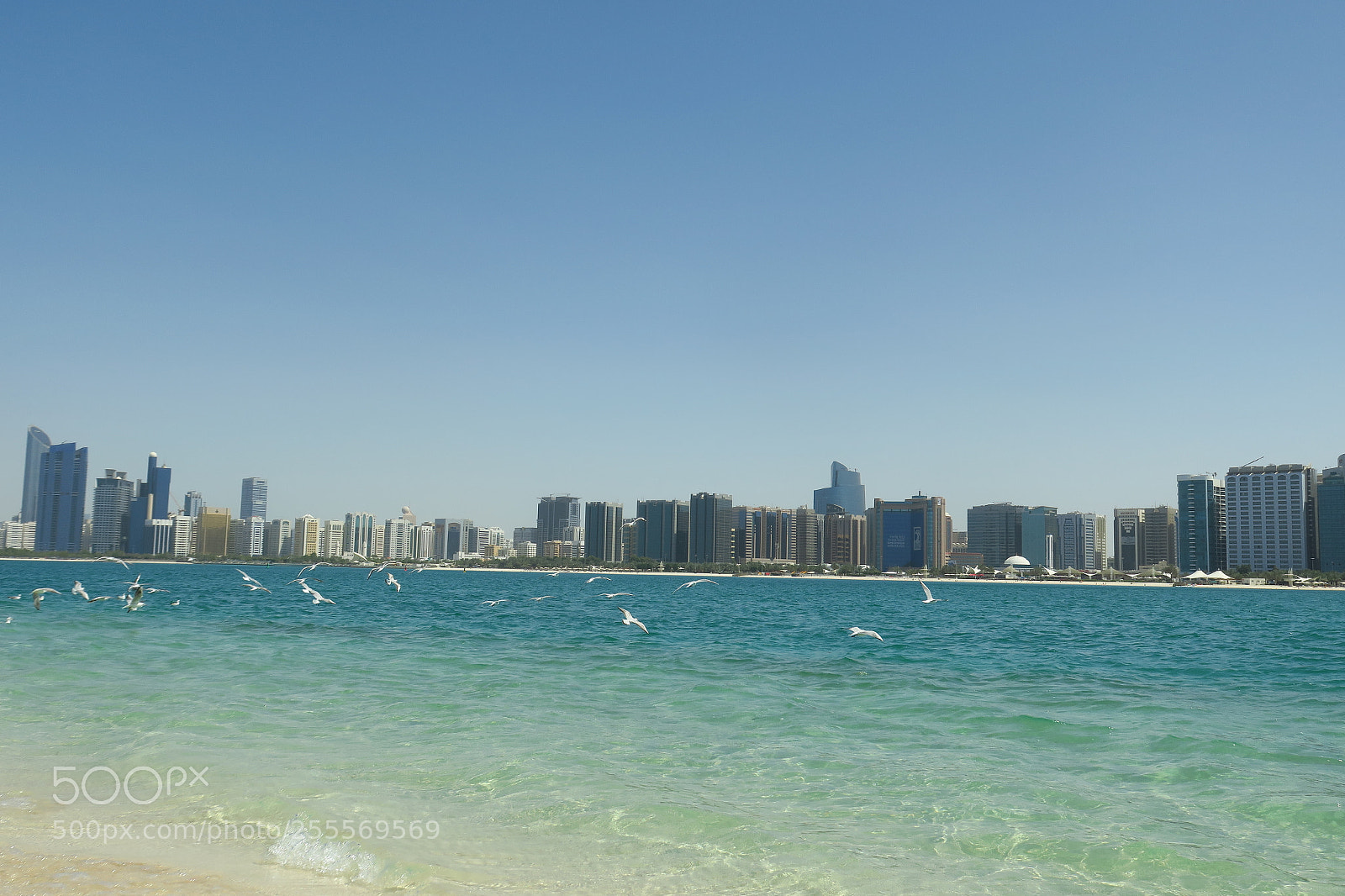 Canon PowerShot G3 X sample photo. Abu dhabi photography