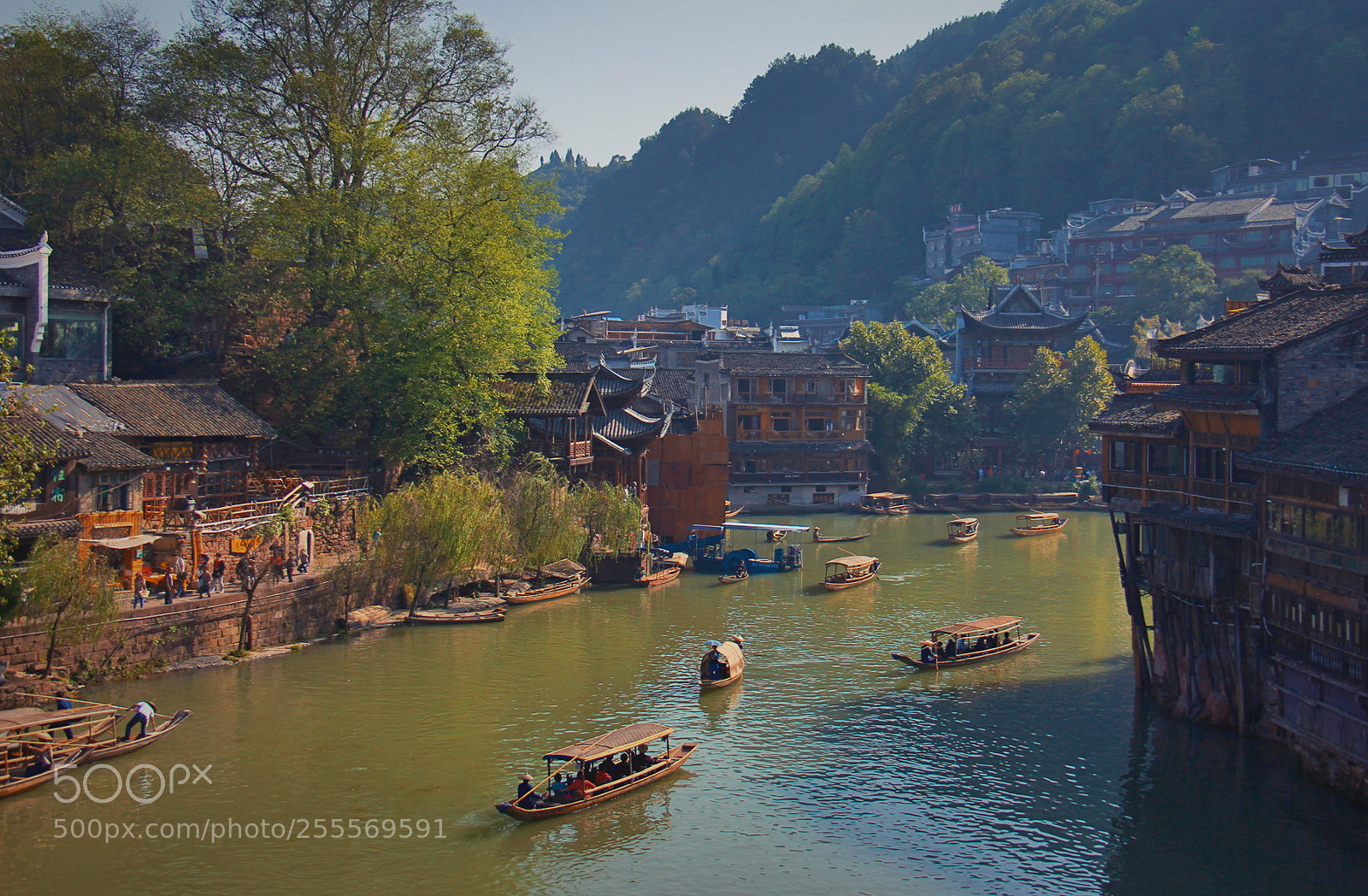 Canon EOS 60D sample photo. Untitled photography
