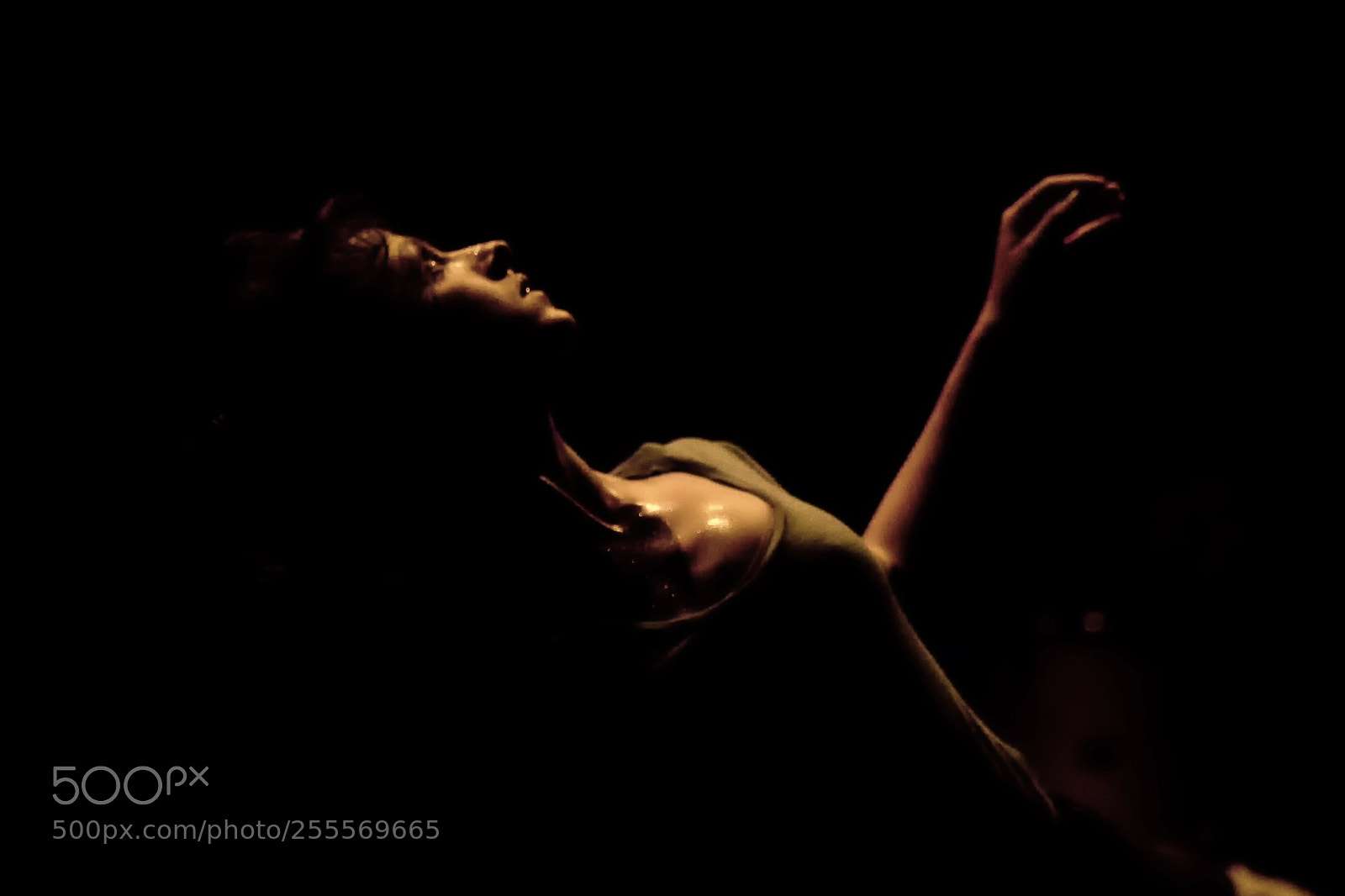 Sony a7S sample photo. In notion#04 photography