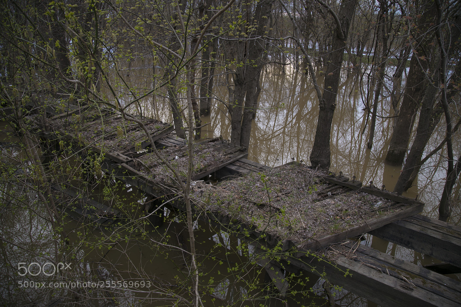 Canon EOS 6D sample photo. 015.jpg photography