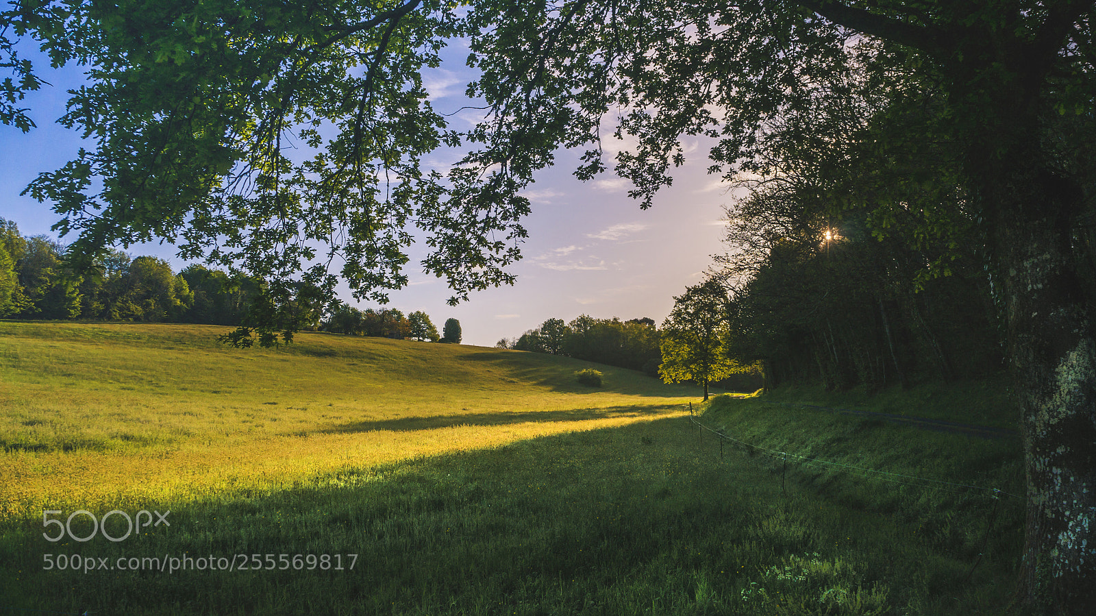Sony Alpha NEX-5R sample photo. Morning fields photography