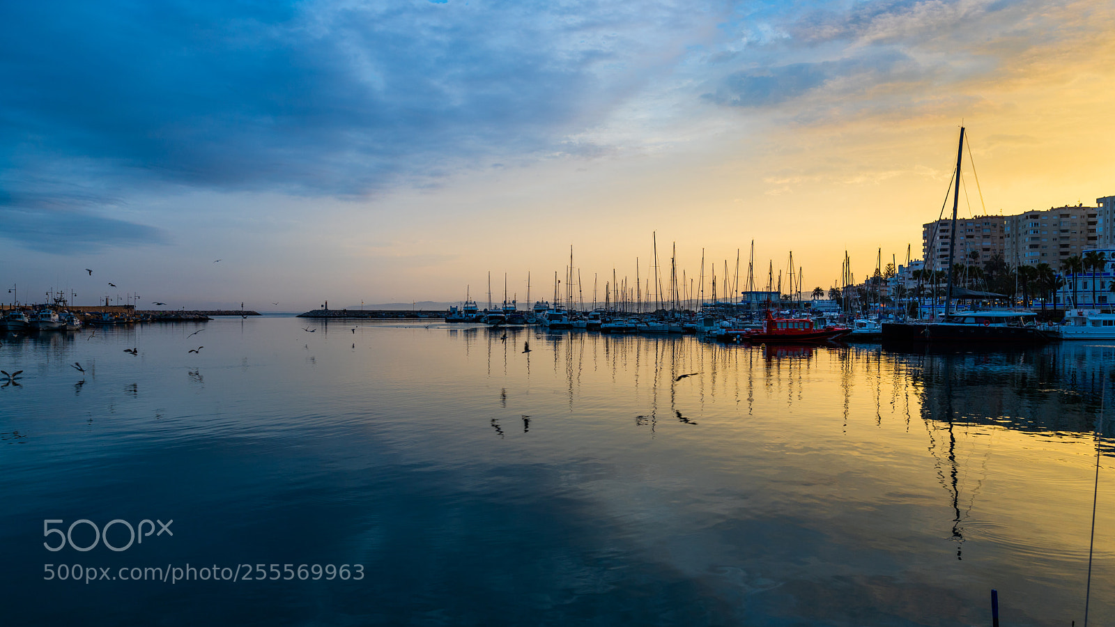 Canon EOS 6D Mark II sample photo. Estepona port at blue photography