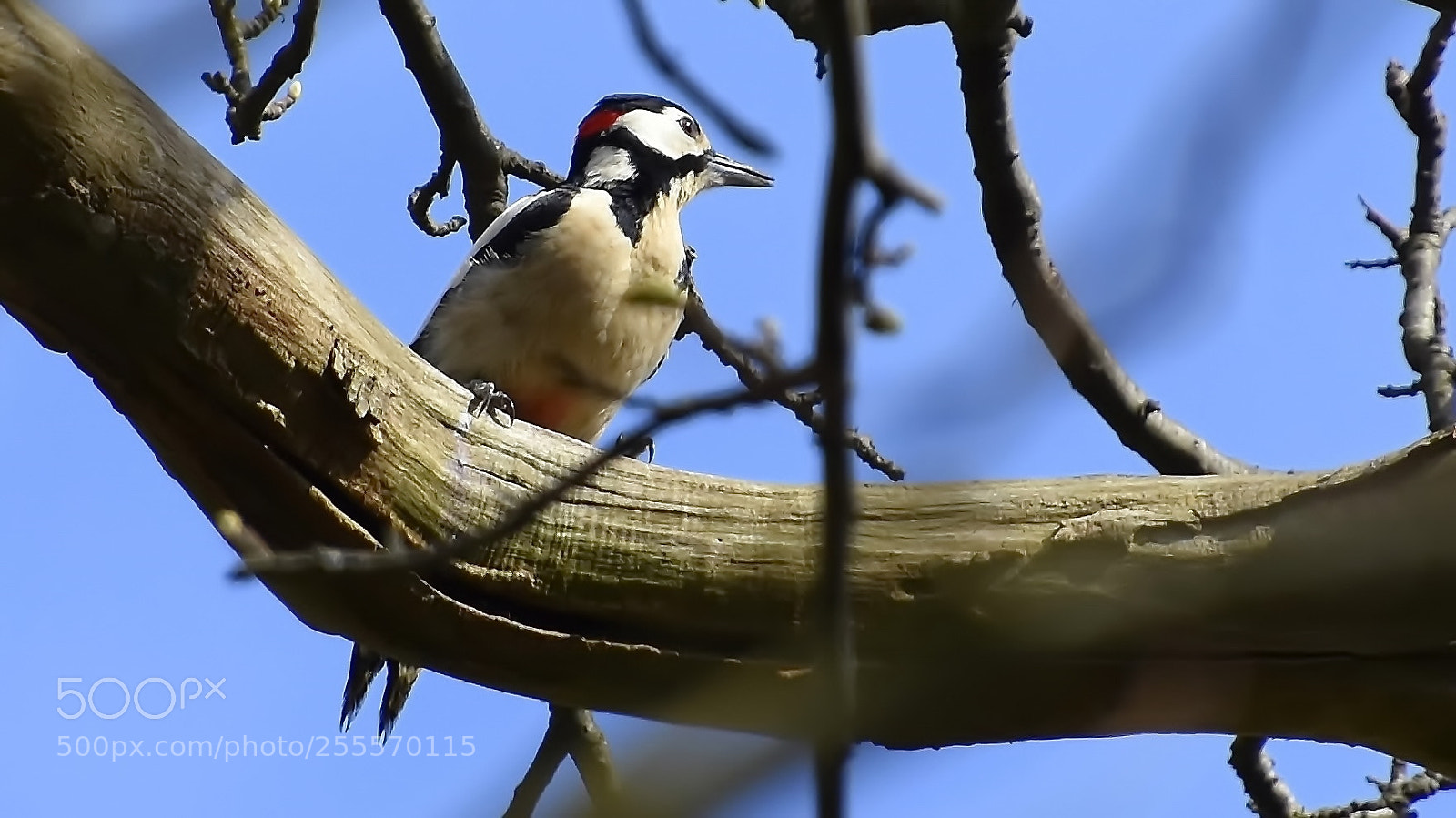 Nikon D7200 sample photo. Rare sight lately... photography