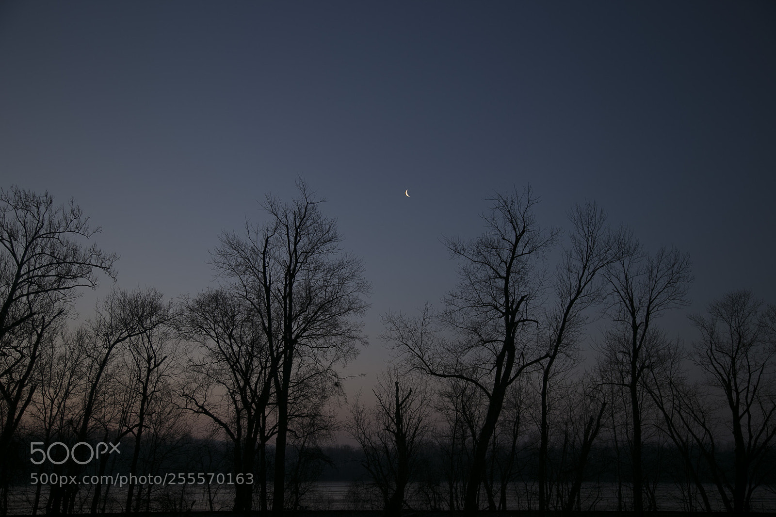 Canon EOS 6D sample photo. 010.jpg photography
