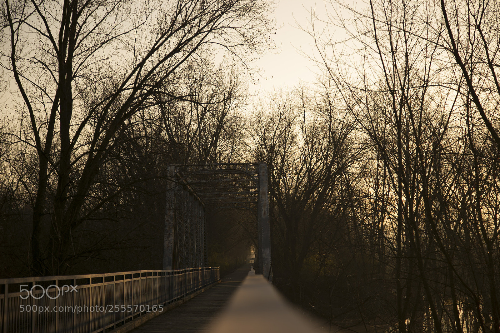 Canon EOS 6D sample photo. 015.jpg photography