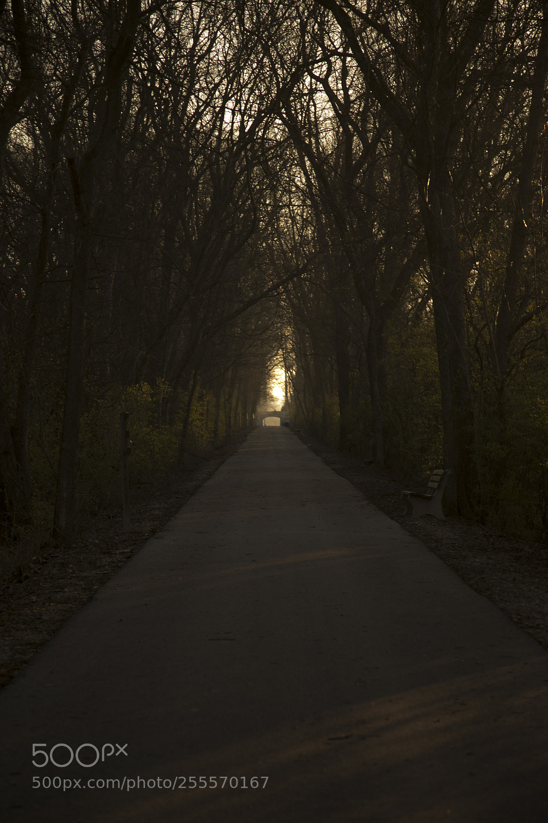 Canon EOS 6D sample photo. 016.jpg photography