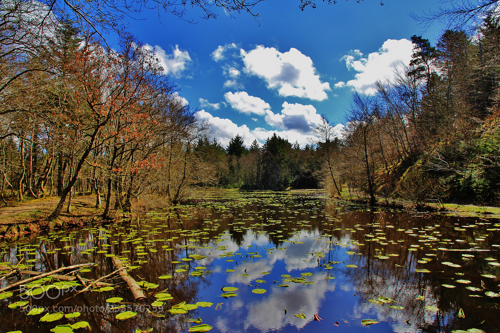 Canon EOS 60D sample photo. Lake refelctions photography