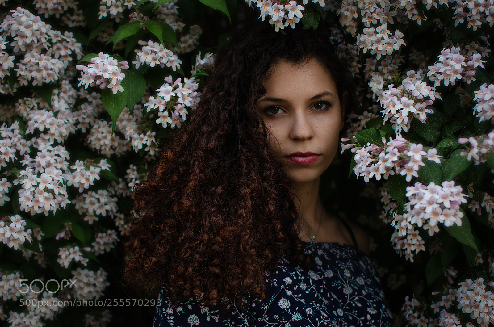 Nikon D5100 sample photo. Girl in the nature photography