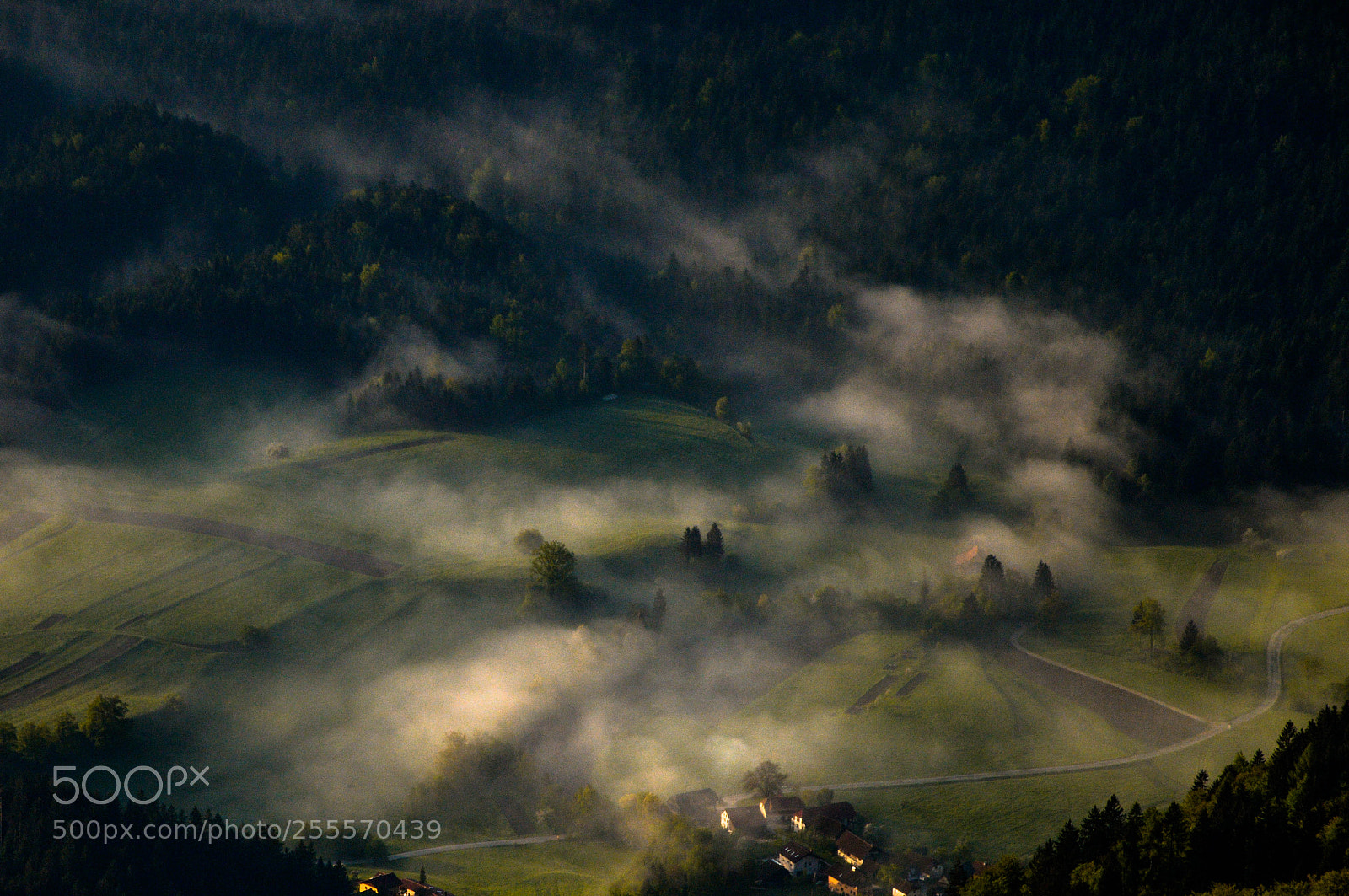 Nikon D3200 sample photo. Morning mist photography